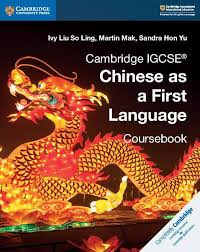 Image of Cambridge igcse Chinese as a first language coursebook